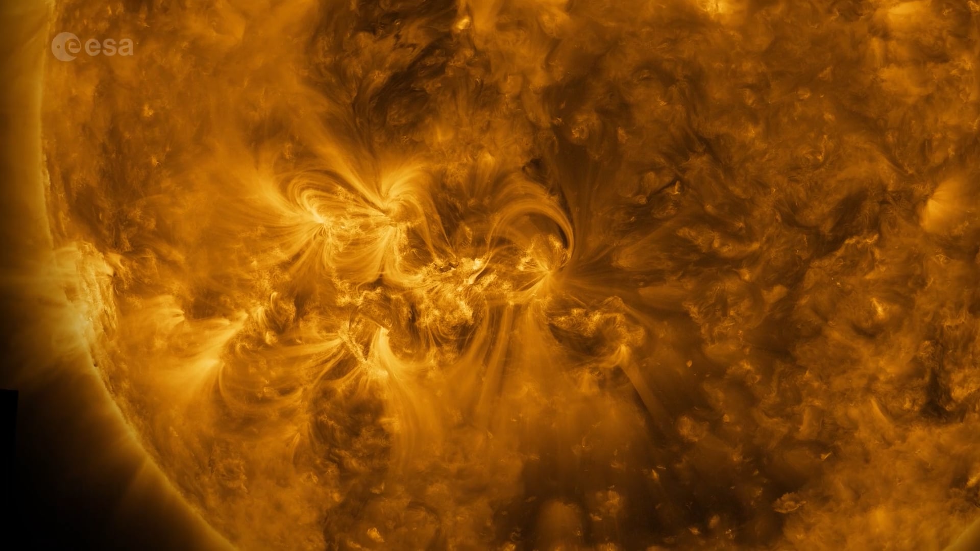 Solar orbiter reveals sun many faces